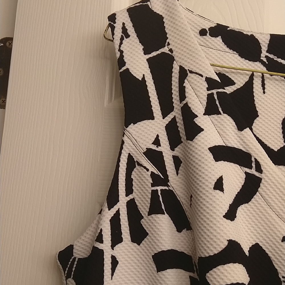 Peter Nygard Fit n Flare Dress - Picture 3 of 11